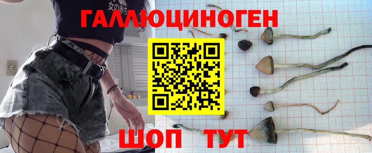 Псилоцибиновые грибы мицелий  Вход с VPN  Котельники 